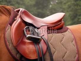 Naklejki Red saddle on the brown horse back
