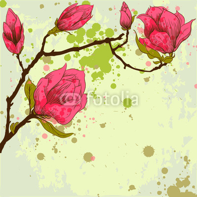 Spring background with magnolia flowers