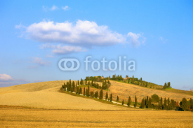 Tuscany, Crete Senesi farmland, cypress tree and fields. Italy.