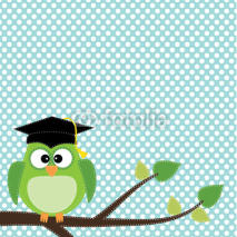 Fototapety Owl with graduation cap sitting on branch