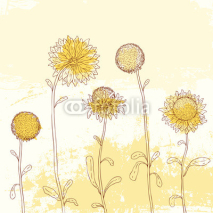 Naklejki Yellow sunflower on Watercolor background.