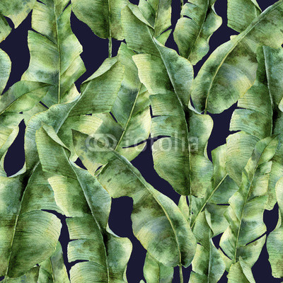 Watercolor pattern with banana palm leaves. Hand painted exotic greenery branch. Tropic plant isolated on dark blue background. Botanical illustration. For design, print or background