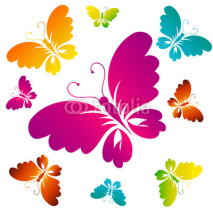 Fototapety butterflies design