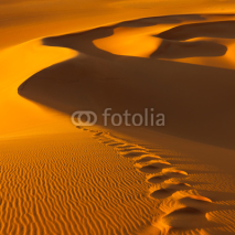 Naklejki Footprints in the Sand Dunes  - Murzuq Desert, Sahara, Libya