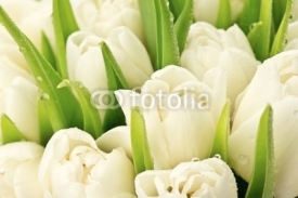 Naklejki Tulipany