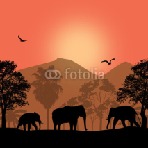 Naklejki Elephant family