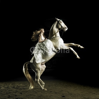 Beautiful girl on a white horse