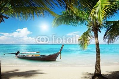 sea, coconut palms and boat