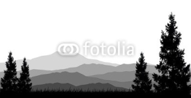 Fototapety coniferous forests for you design