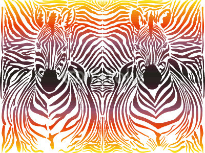 Zebra abstract pattern background