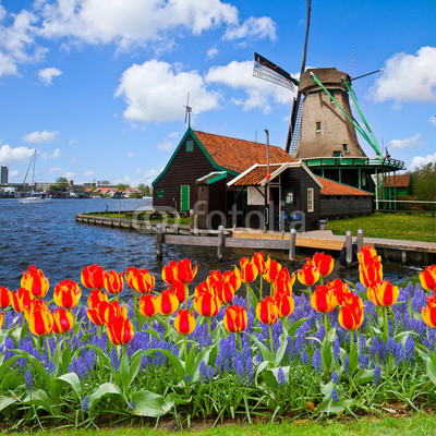 dutch windmill of Zaanse Schans
