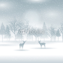 Fototapety Deer in a winter landscape