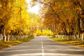Naklejki Maple alley at sunny autumn day