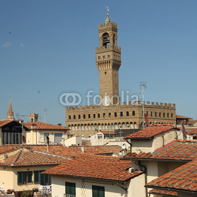 Impressive  Palazzo Vecchio ( Old Palace ) dominated over roofs