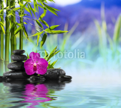 Obrazy i plakaty Purple Orchid, Stones and Bamboo on the water