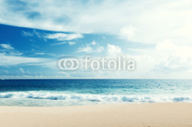 Obrazy i plakaty tropical beach
