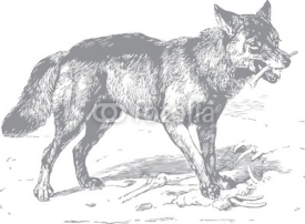 Naklejki Wolf with bone in mouth
