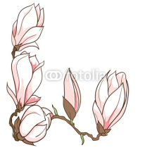 Fototapety Vector hand drawn magnolia flowers frame