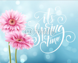 Gerbera Flower Background and Spring Lettering. Vector Illustration