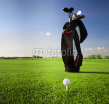 Naklejki Golf clubs in golfbag and golf balls green grass background