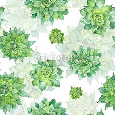 Watercolor Succulent Pattern on White Background