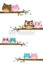 Fototapety couples of owls sitting on branches