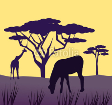 Obrazy i plakaty African Animals