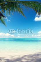 Naklejki Caribbean sea and coconut palms