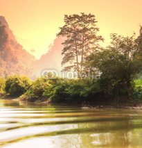Fototapety Jungle in Vietnam