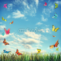 Naklejki Bright summer background with butterflies and grass