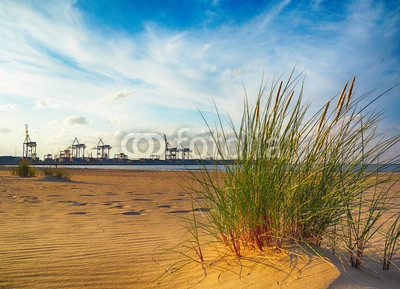 Baltic sea grassy dunes and indusrtial port Gdansk, Poland