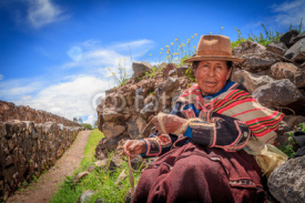 Naklejki Peruvian Indian Woman in Traditional Dress Weaving