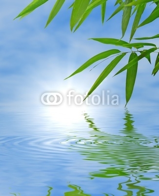 Bamboo and sky reflected in the water; Zen atmosphere.
