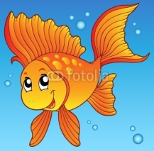 Cute goldfish in water