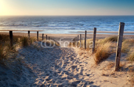 Naklejki path to North sea beach in gold sunshine