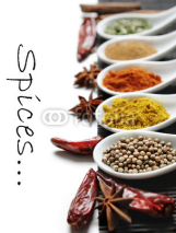 Naklejki Spices