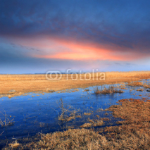Fototapety Flooded meadow at the evening