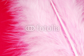 Naklejki pink feather plumage texture