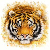 Obrazy i plakaty wild tiger