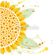 Fototapety sunflower, floral design