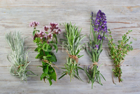 Fototapety fresh herbs