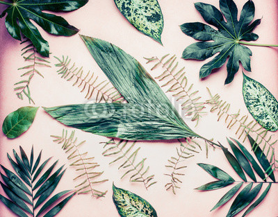 A lot of various palm tree leaves on pastel pink background, top view, flat lay