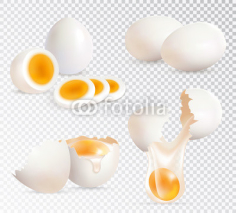 Eggs Realistic Set