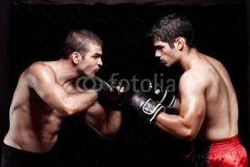 Fototapety Mixed martial artists before a fight