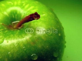 Fototapety green apple
