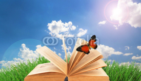 Old book with butterfly outdoors