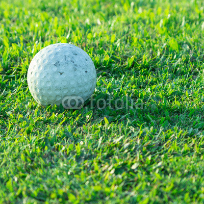 Golf ball on the grass on the golf course.