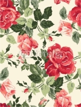 Fototapety Fancy rose wallpaper