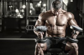 Obrazy i plakaty very power athletic man in a gym