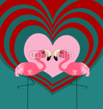 Obrazy i plakaty Couple flamingo love